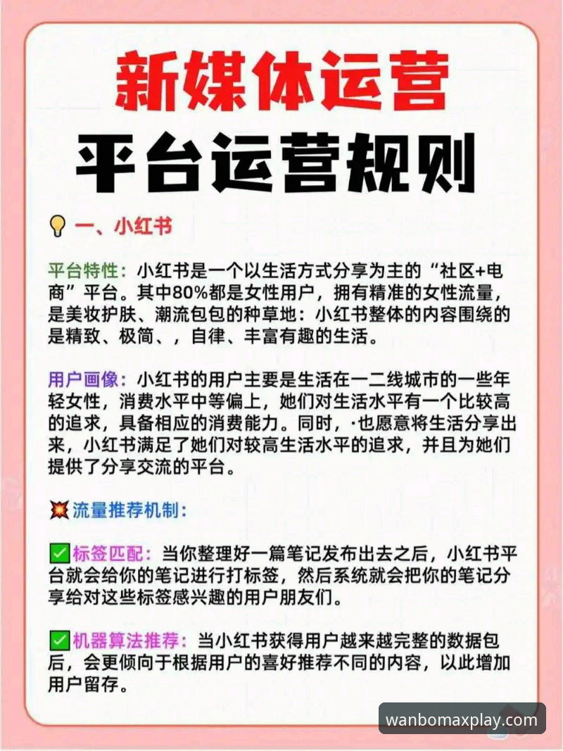 万博娱乐平台攻略实用指南：从入门到精通的必备知识